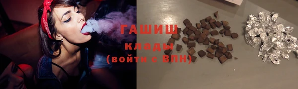 сатива Верея