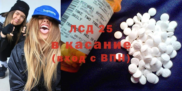 сатива Верея